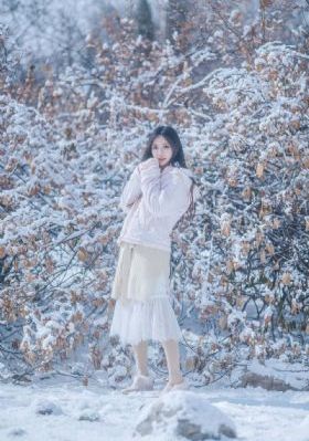 迷你特工队之拯救恐龙王